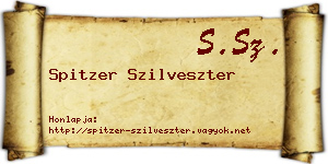 Spitzer Szilveszter névjegykártya